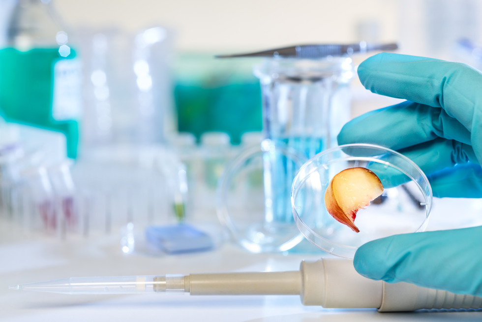 International Health Day: antibiotics under the spotlight